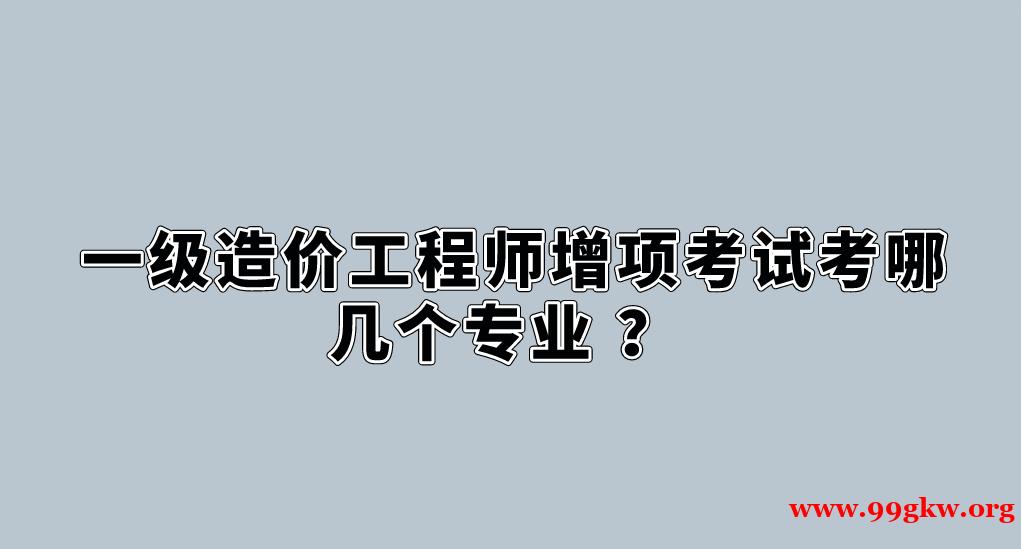 一级造价工程师增项考试考哪几个专业 ？