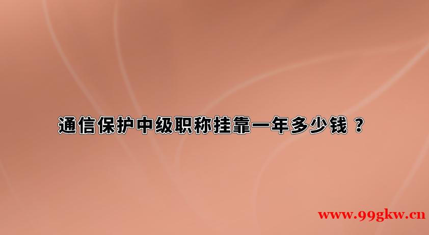 通信保护中级职称挂靠一年多少钱 ？