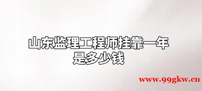 山东监理工程师挂靠一年是多少钱